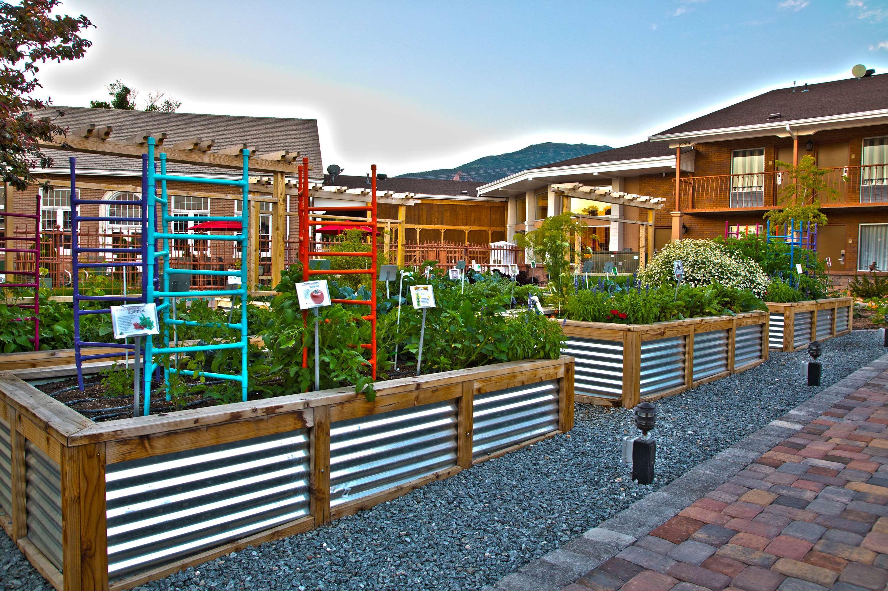Best Western Plus Cedar Stadt Exterior foto