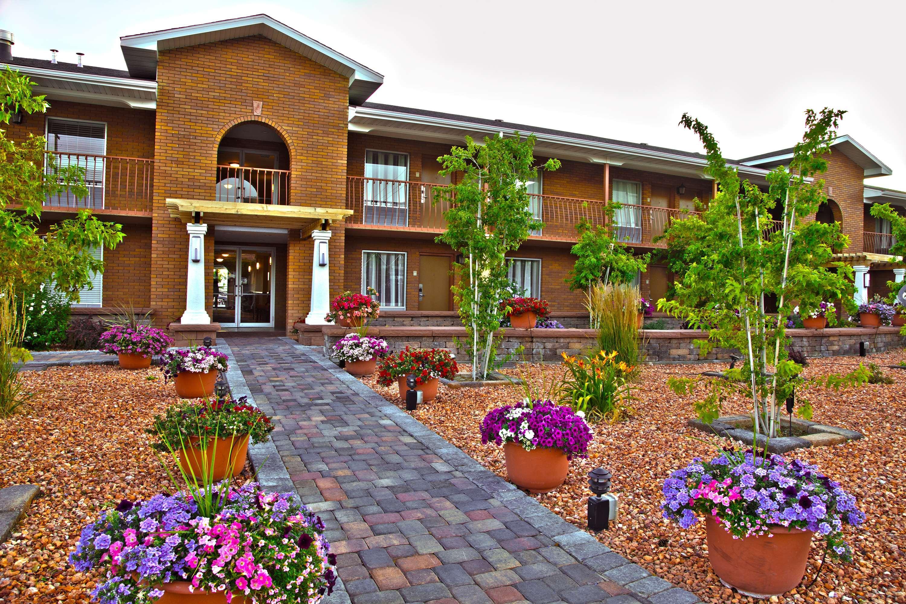 Best Western Plus Cedar Stadt Exterior foto