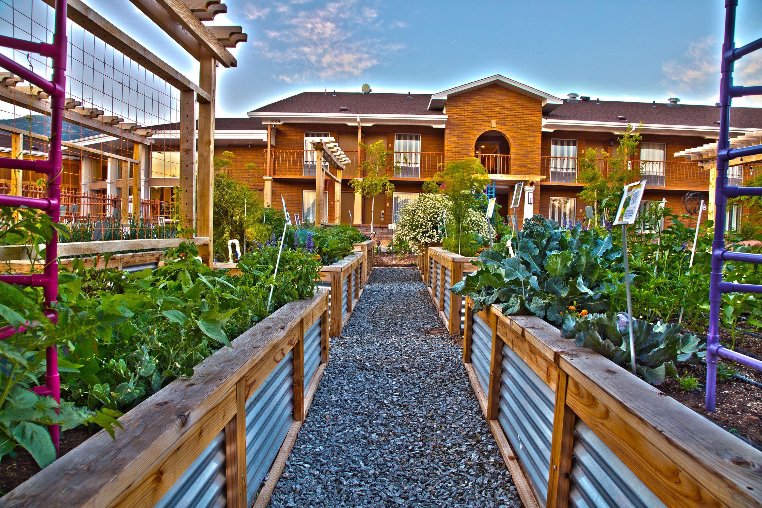 Best Western Plus Cedar Stadt Exterior foto