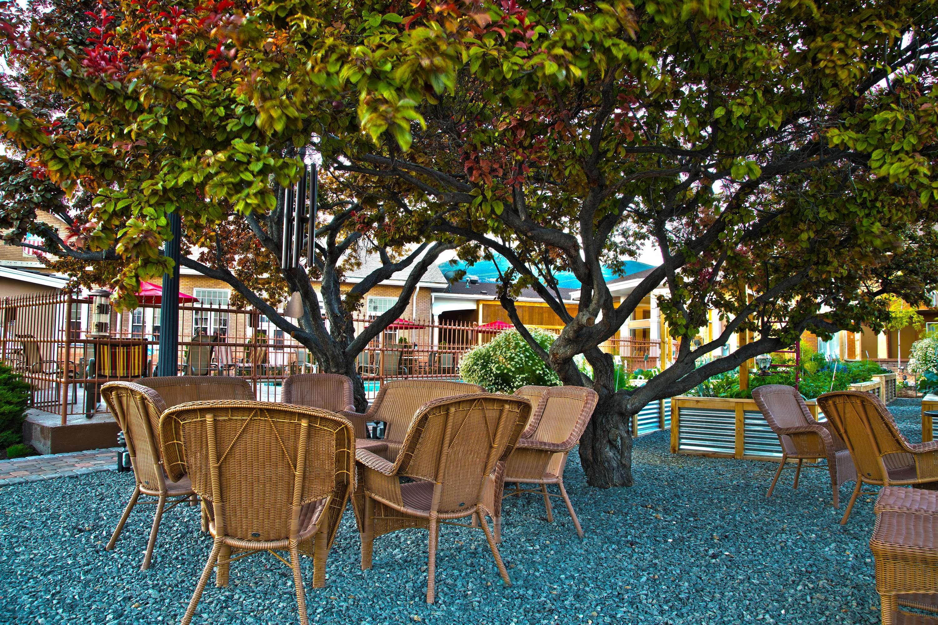 Best Western Plus Cedar Stadt Exterior foto