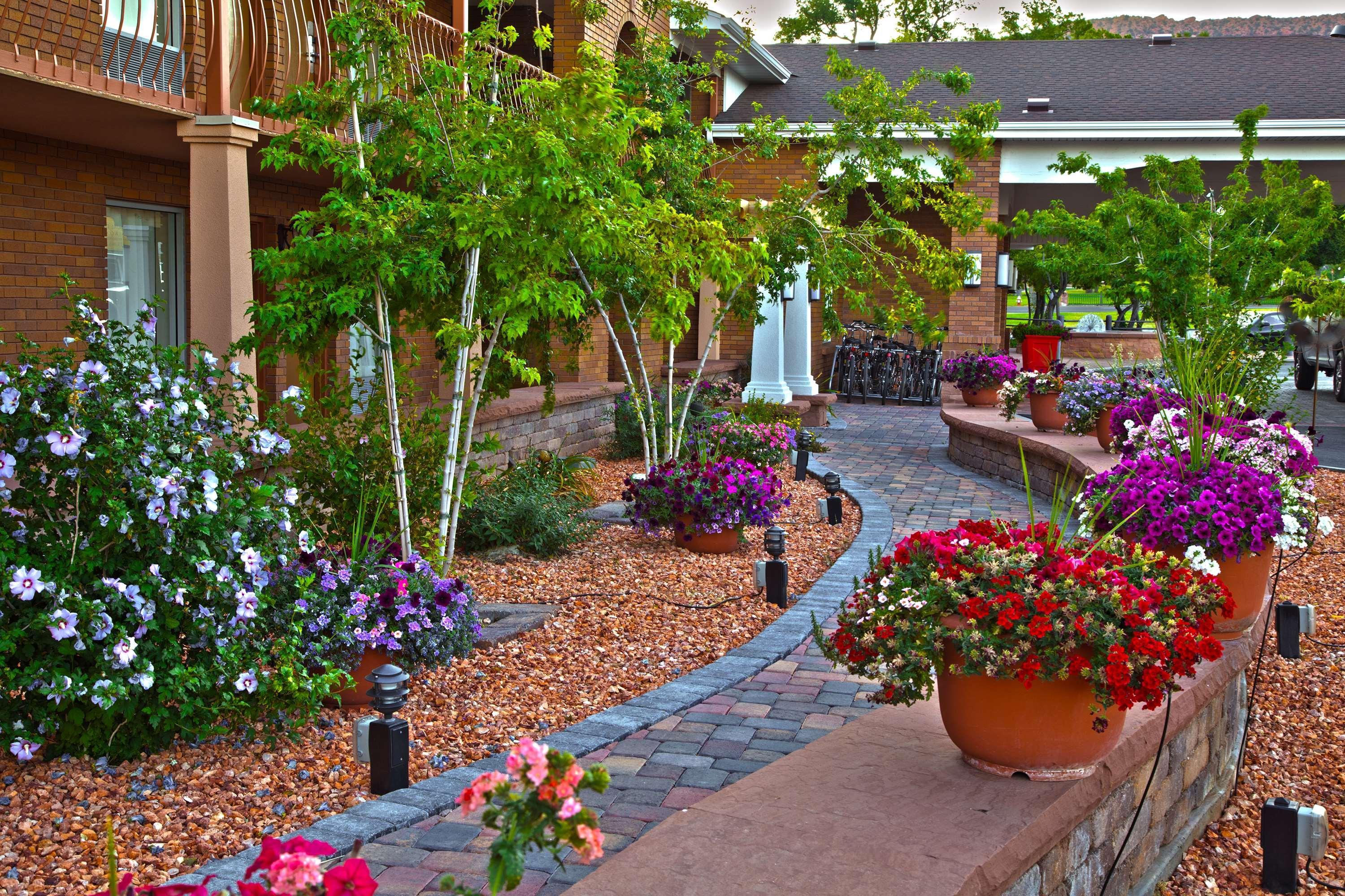 Best Western Plus Cedar Stadt Exterior foto