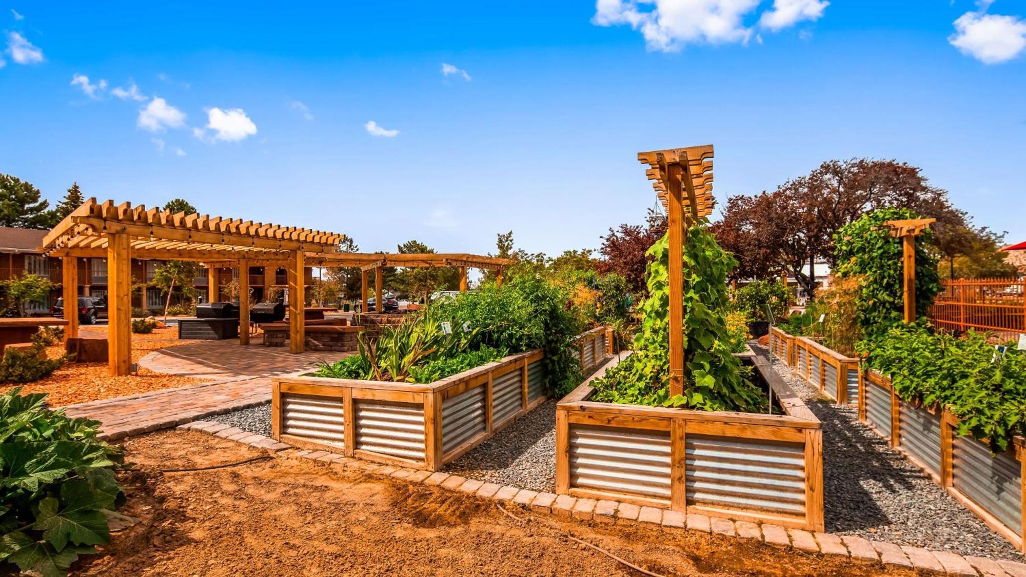 Best Western Plus Cedar Stadt Exterior foto
